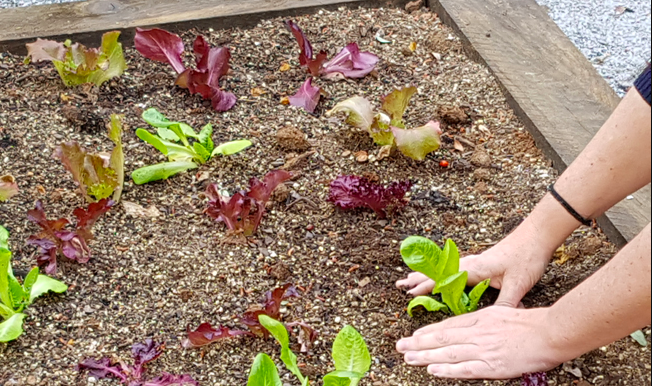 captura-de-pantalla-2021-03-16-a-las-15.39.09