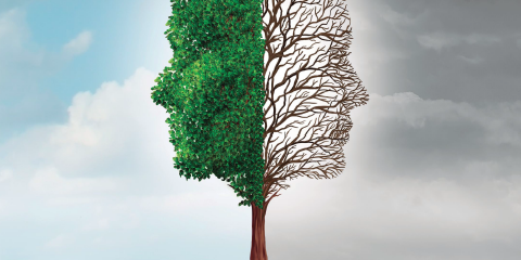 captura-de-pantalla-2023-05-29-a-las-18.16.11