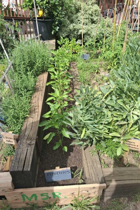 Ampliació hort terapèutic