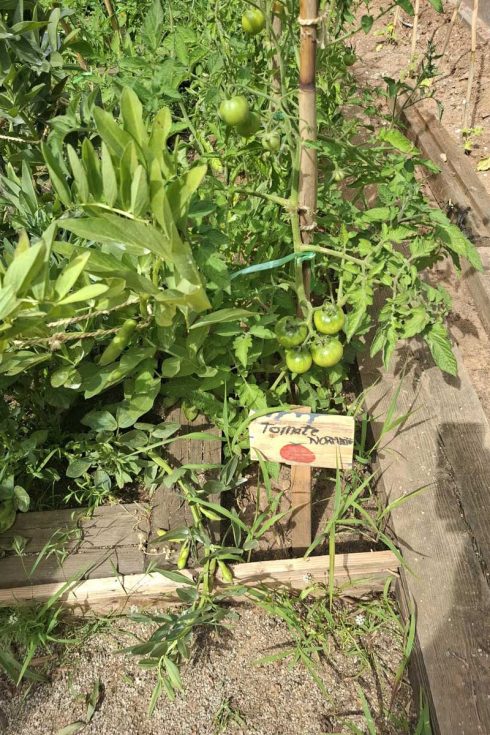 Ampliació hort terapèutic