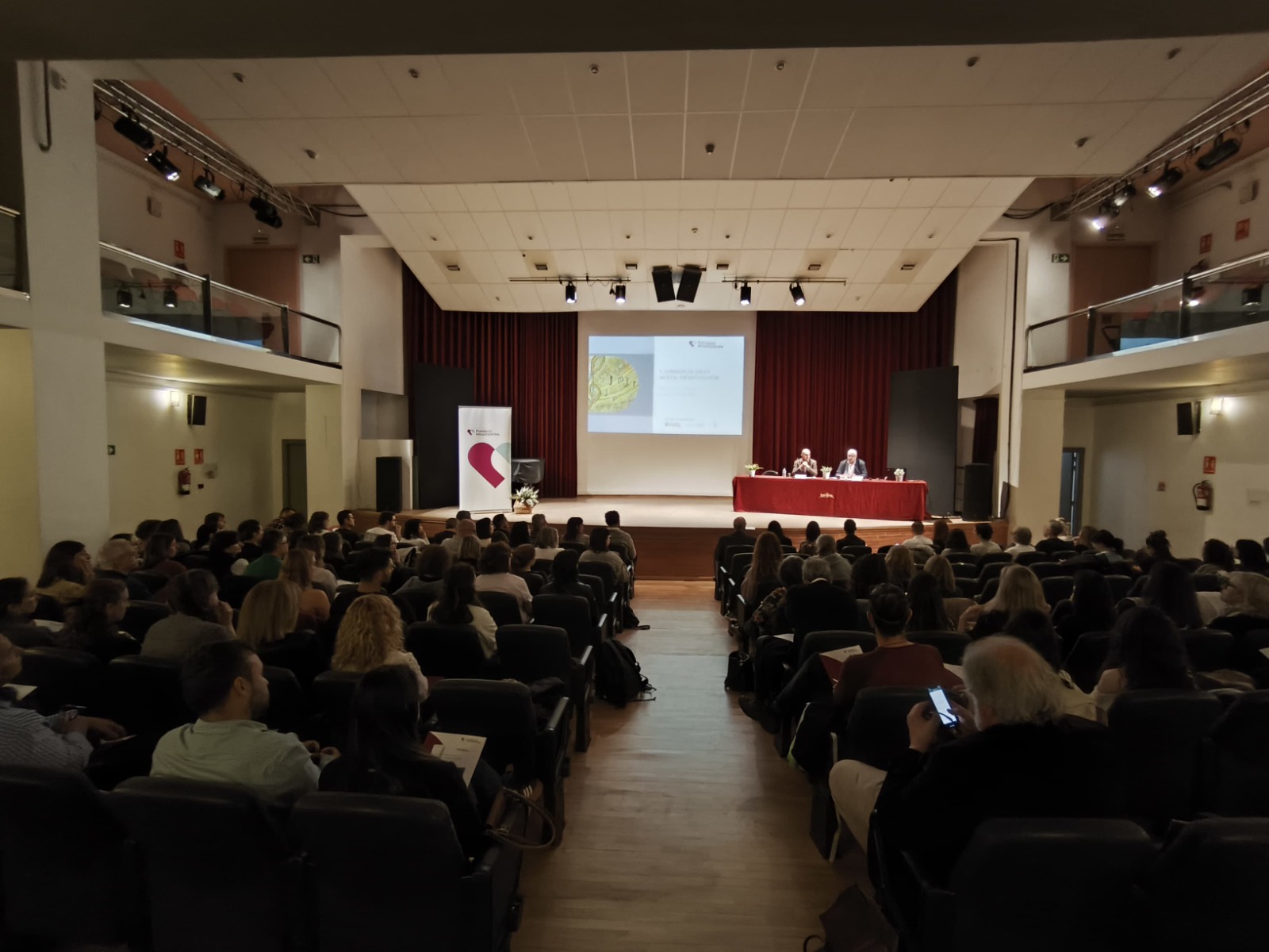 Salut Mental Infantojuvenil Salut Mental Infantojuvenil