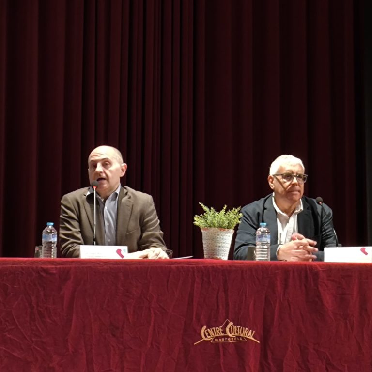 Salut Mental Infantojuvenil