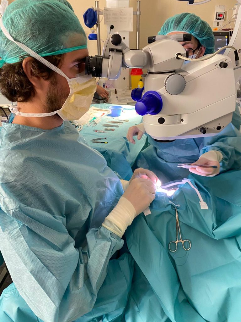 Primer trasplantament de membrana amniòtica en cirurgia ocular