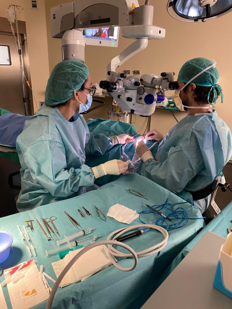 Primer trasplantament de membrana amniòtica en cirurgia ocular