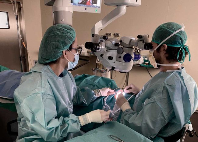 Primer trasplantament de membrana amniòtica en cirurgia ocular