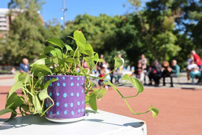 Cultivar la salut mental des de la comunitat per combatre l'estigma