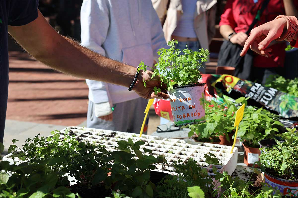 Cultivar la salut mental des de la comunitat per combatre l'estigma